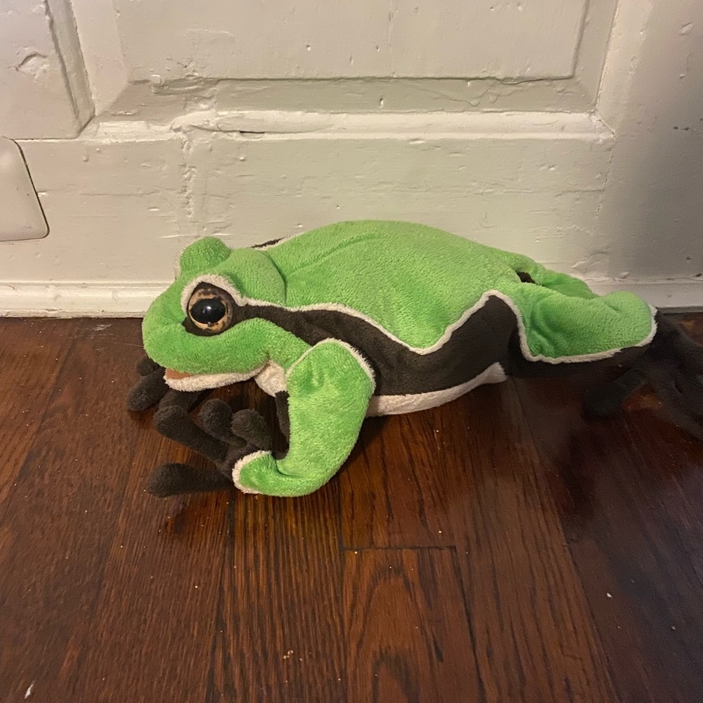 Tadpole to frog